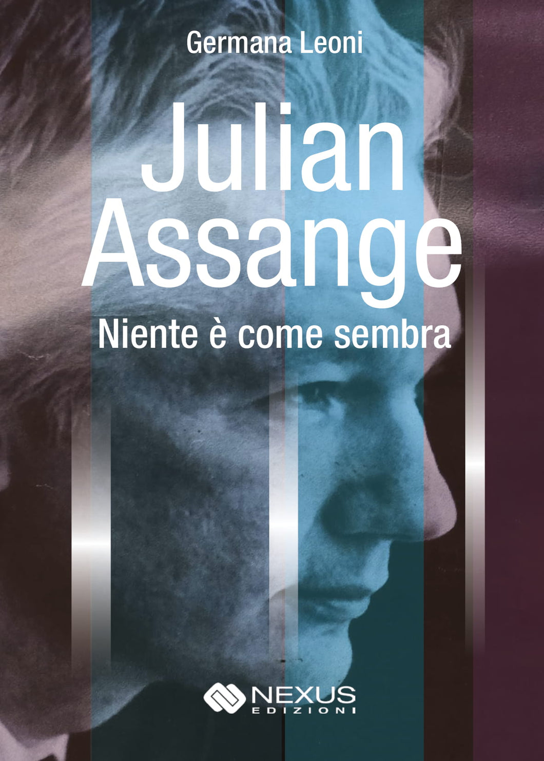 Julian Assange - Niente è come sembra